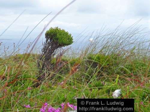 Slieve League